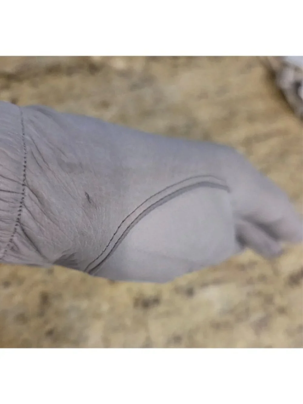 Vintage Womens Size M Gray Soft Kid Leather Formal Gloves Wrist Button